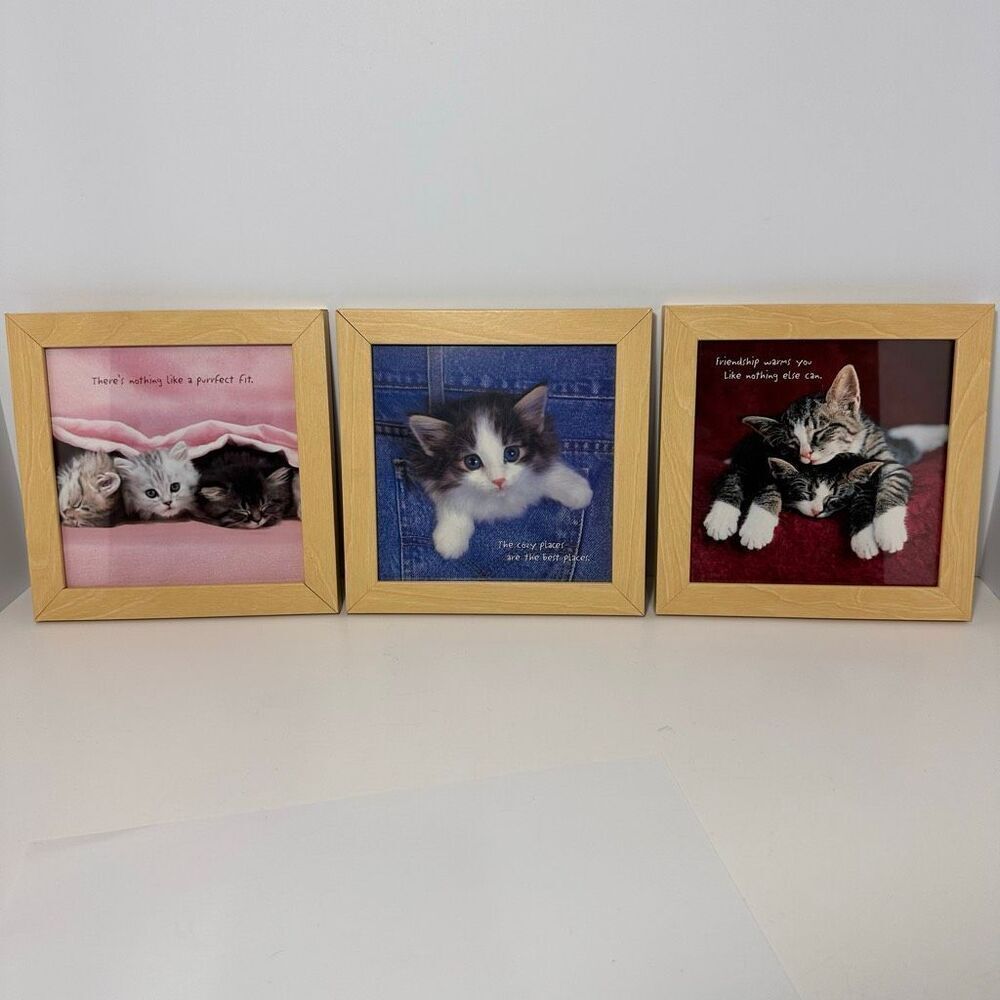 Kitten Cat Wooden Framed Prints 7”x7” Set of 3 Decorative Pictures